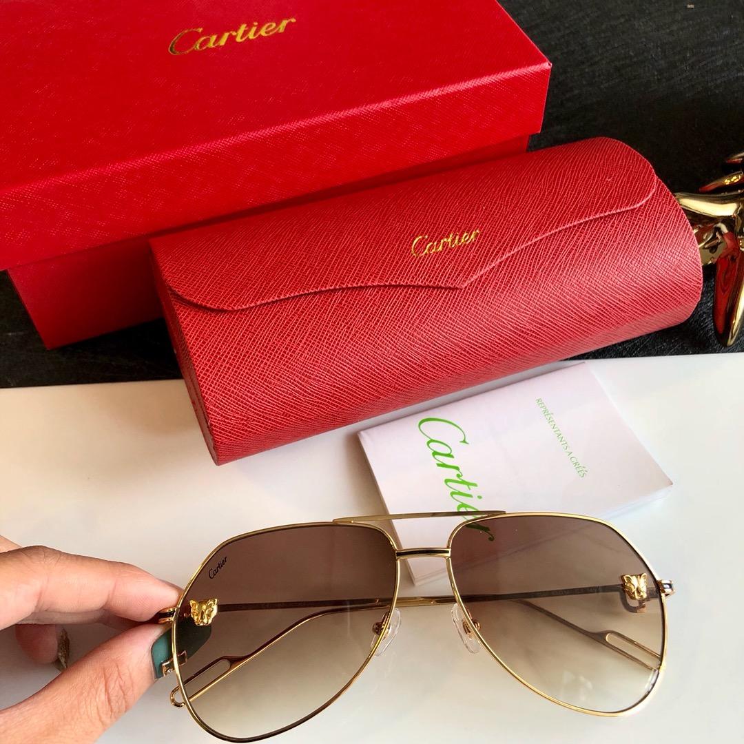 Cartier Men’s Sunglasses ASS650031